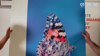 Colorful butterfly artwork displayed in a modern exhibition space.